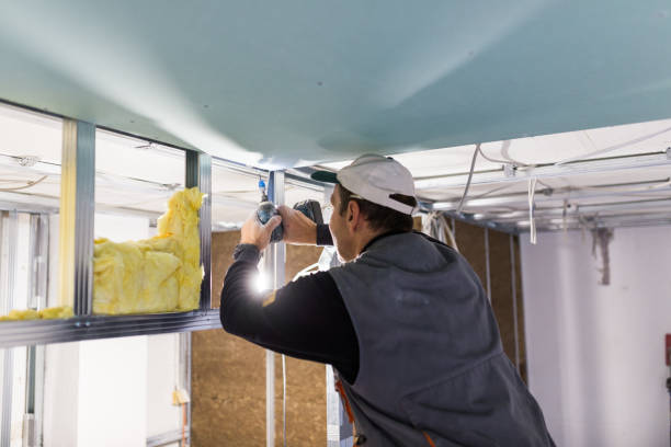 Best Insulation Maintenance and Repair in Barclay, NJ